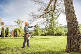 Best Lawn Irrigation Installation and Maintenance  in Marlton, NJ
